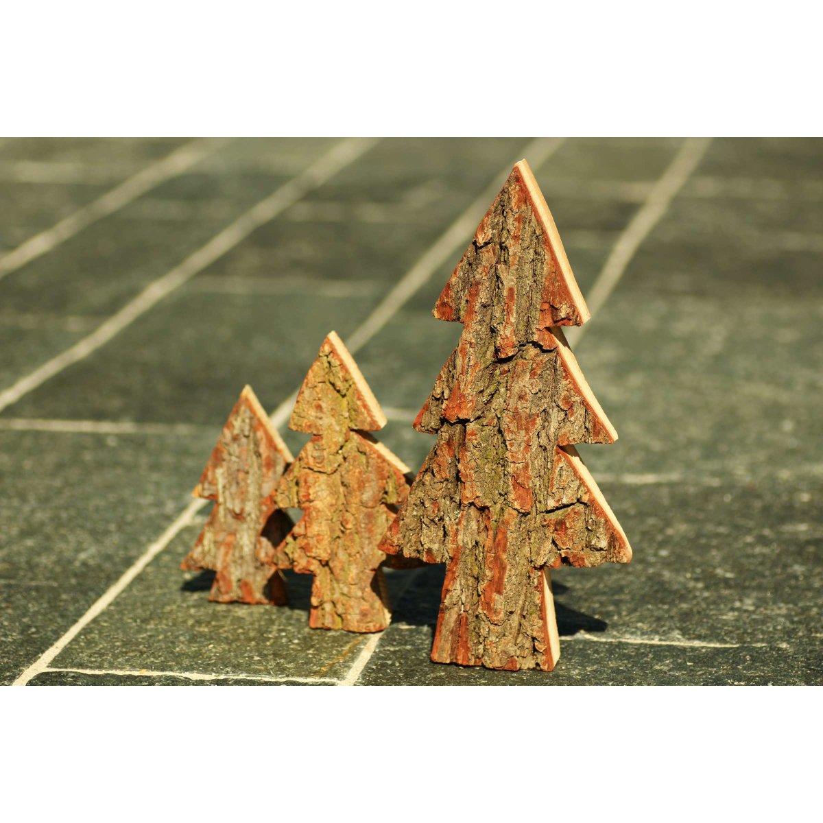 3x Holz-Tanne, Baum-Set aus Eiche Massivholz mit Rinde XL - Höhe ca ...