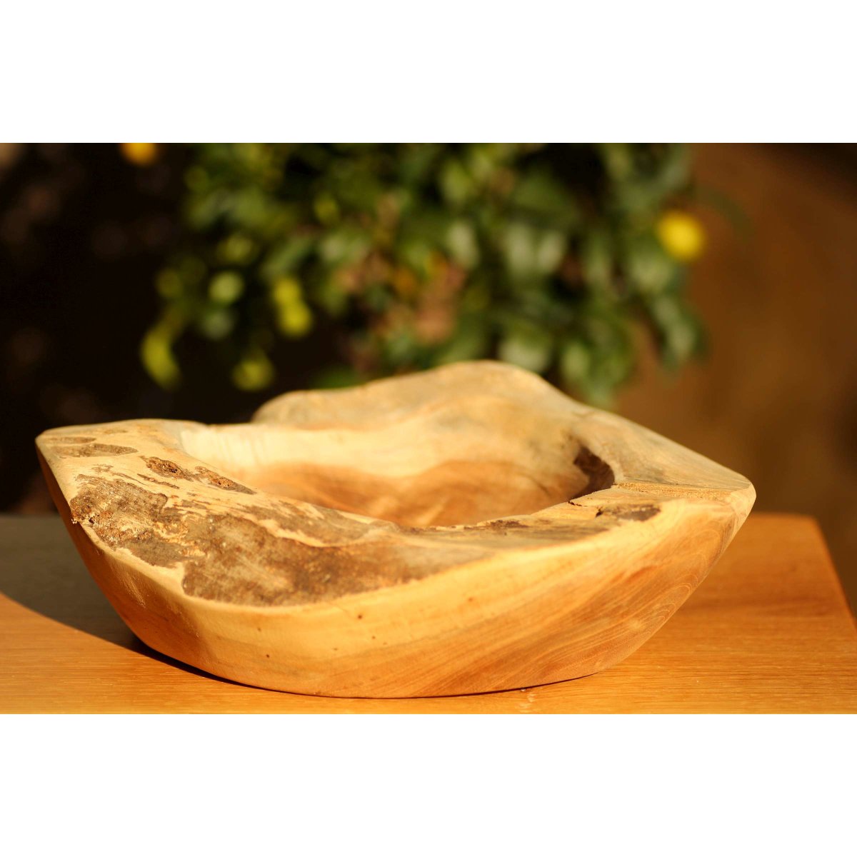 Exklusive Wurzelholz Schale XXL Durchmesser ca. 40cm, Teakholz, 44,90