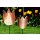 Tulpen Set XL aus Eiche Massivholz - H 17 & 20 cm - Rinde geschliffen