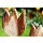 Tulpen Set XL aus Eiche Massivholz - H 17 & 20 cm - Rinde geschliffen